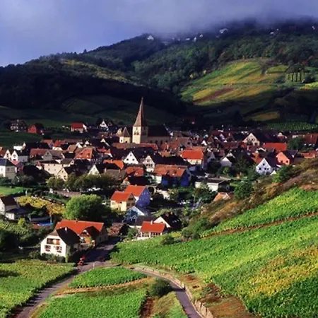 Camélias, De Charme Mittelwihr