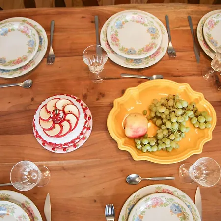 Camelias, De Charme Mittelwihr