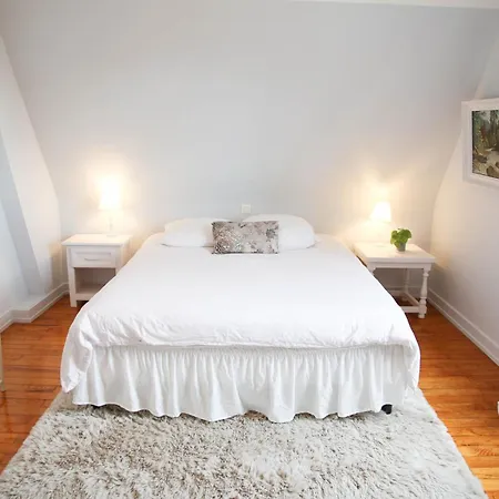 Camelias, De Charme * Mittelwihr