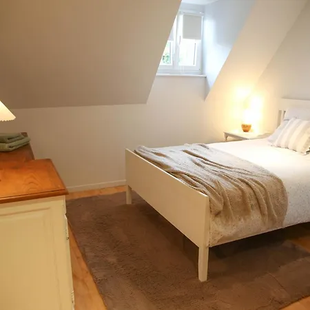 Camelias, De Charme *