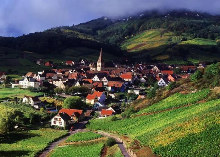 Camélias, De Charme Mittelwihr